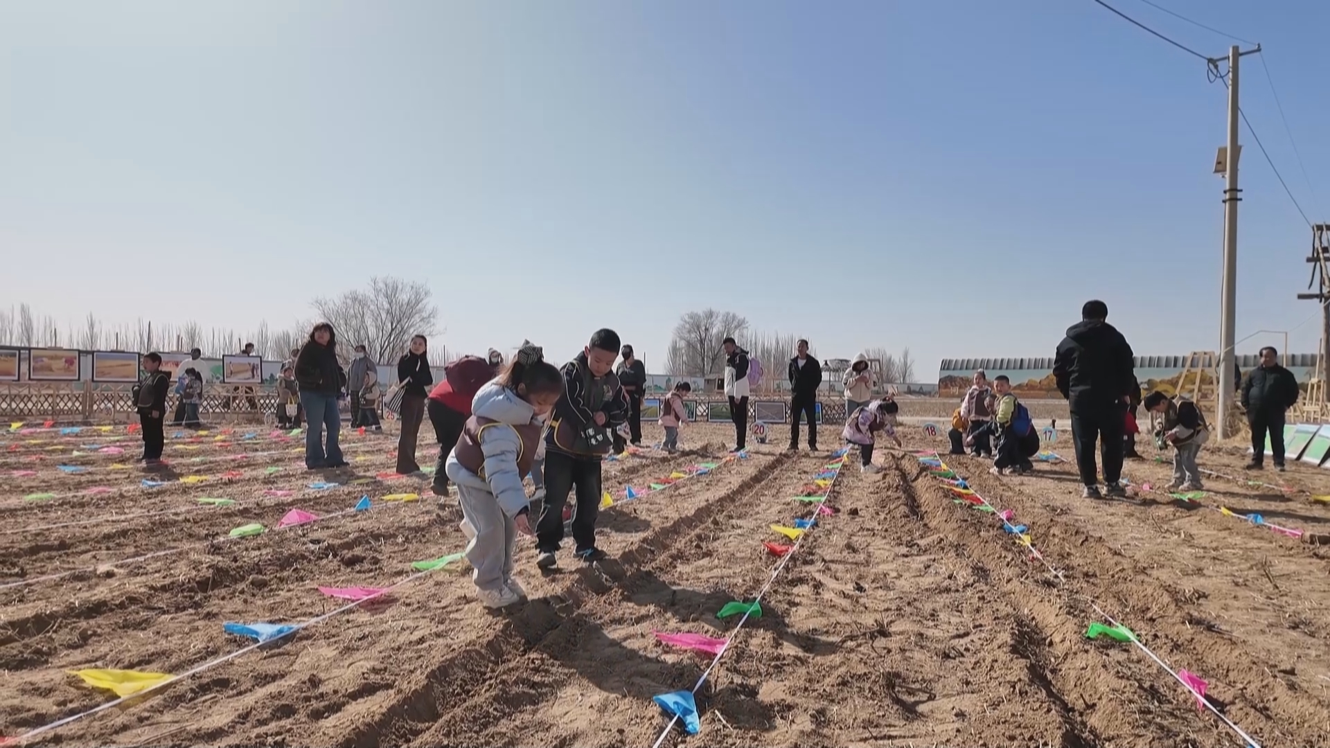 九游app：“我在河套有麦田”激活农文旅活力(图1)