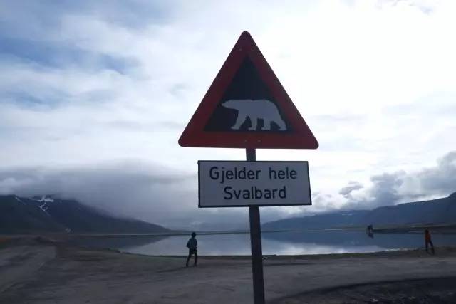 北极公益科考之旅助力申请国外大学加分(图4)