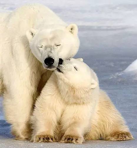 九游体育:路由器最新资讯-快科技--科技改变未来(图9)