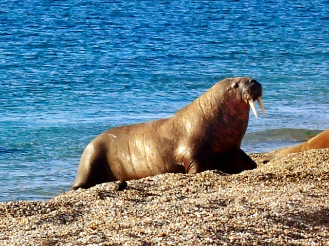 九游体育:路由器最新资讯-快科技--科技改变未来(图8)
