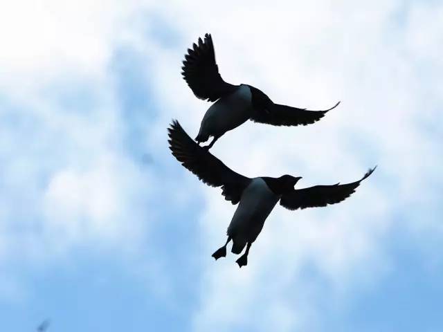 九游体育:路由器最新资讯-快科技--科技改变未来(图7)