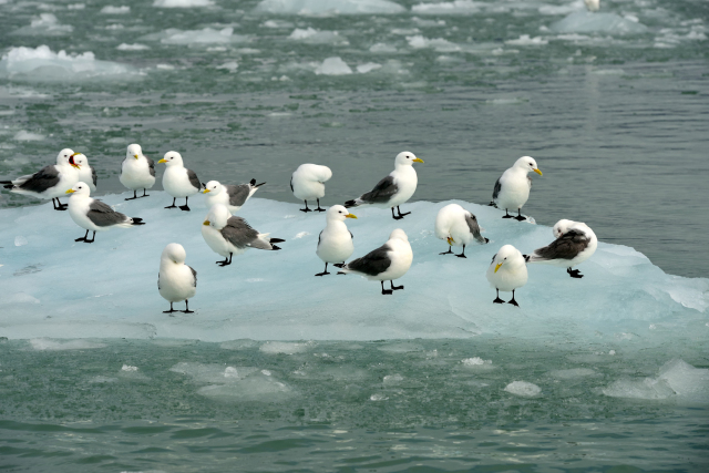 九游体育:路由器最新资讯-快科技--科技改变未来(图6)