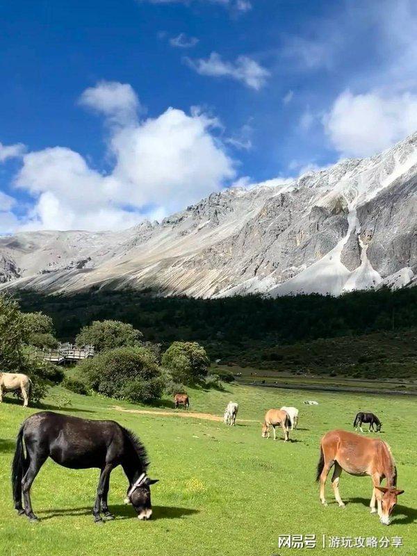 九游app入口：四川自驾游5天最佳路线四川景区看完就够了!(图1)