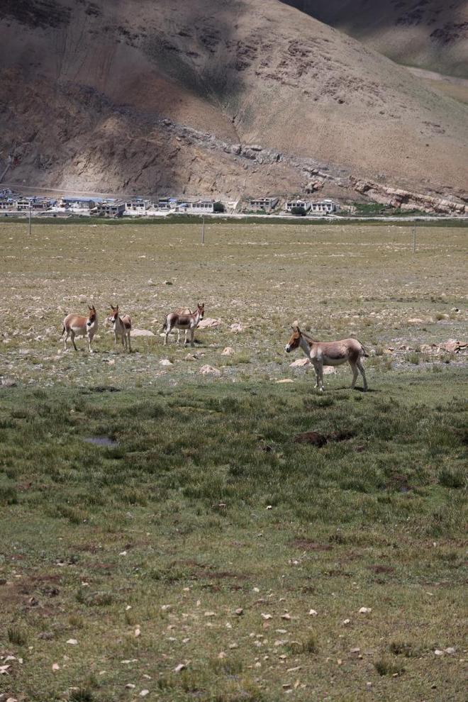 九游app：国内10大自驾路线条适合休闲越野穿越！(图9)