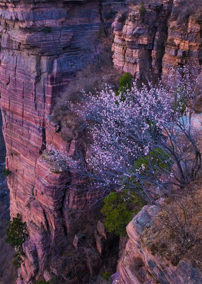 九游app：国内10大自驾路线条适合休闲越野穿越！(图22)