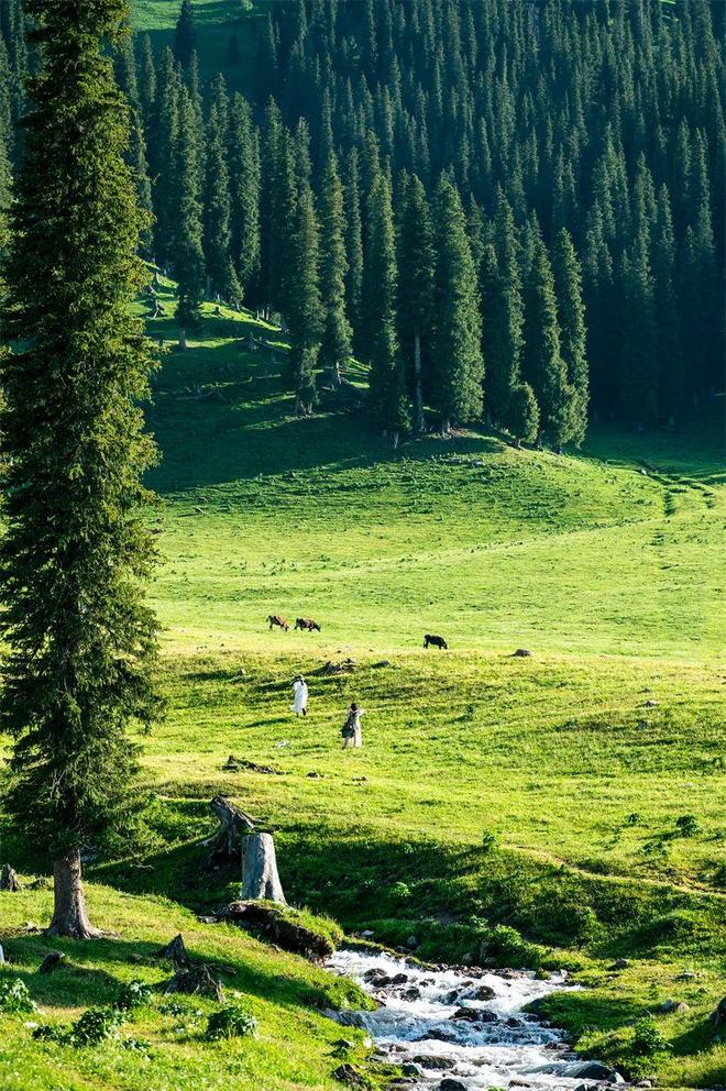 九游app：国内10大自驾路线条适合休闲越野穿越！(图27)