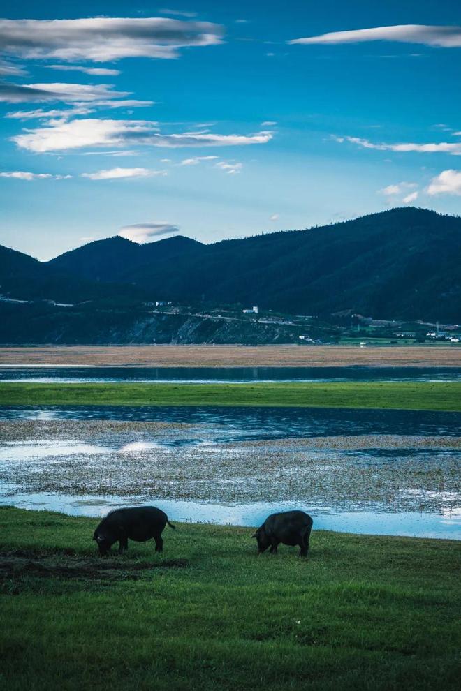 九游app：国内10大自驾路线条适合休闲越野穿越！(图32)