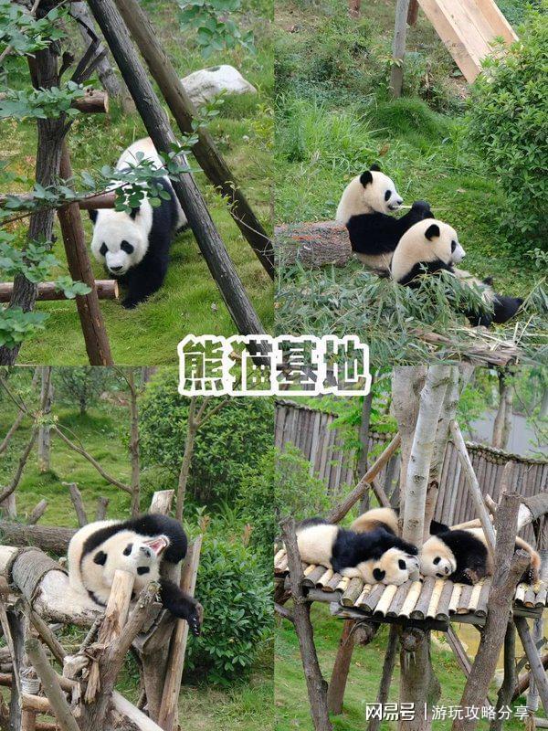 四川自驾游5天最佳路线日游这份详细线路让我省心又省钱(图2)