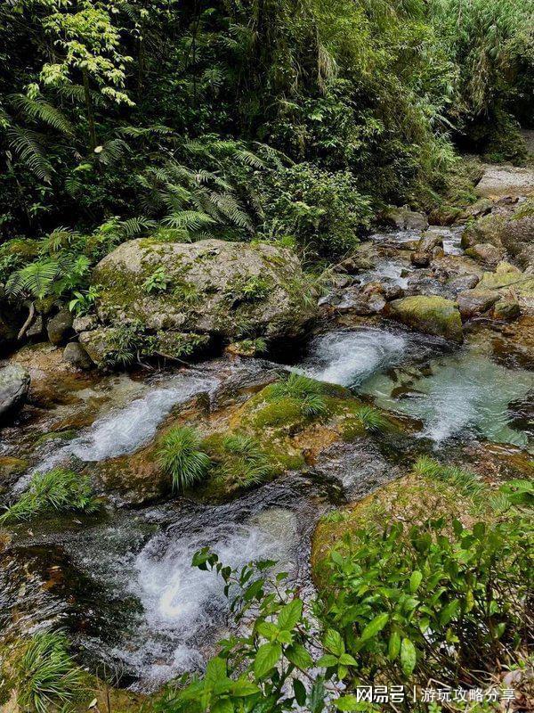 四川自驾游5天最佳路线日游这份详细线路让我省心又省钱(图3)