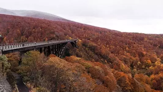 九游app：中国最美的自驾游线路都在这里绝对要收藏起来！(图1)