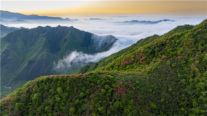 九游app：“宝藏”小城何以宁国？(图3)