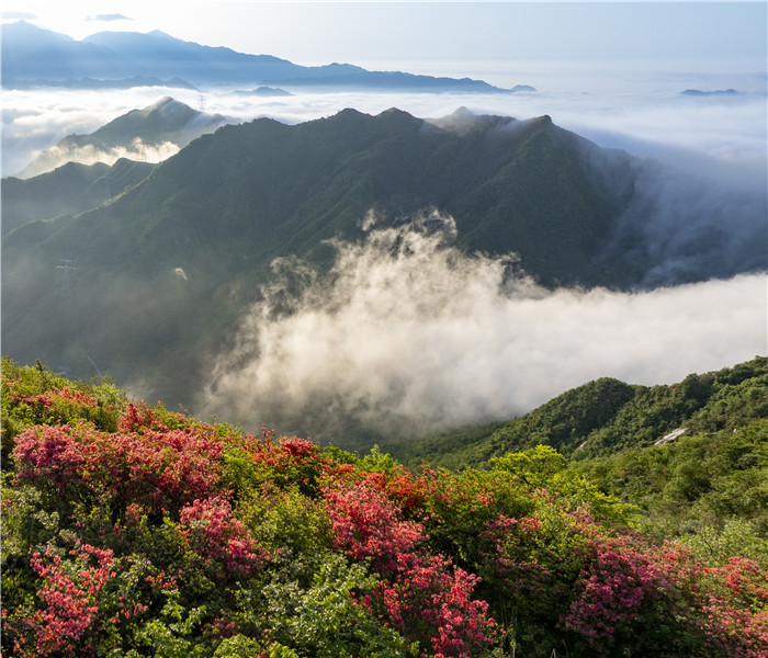 九游app：“宝藏”小城何以宁国？(图2)