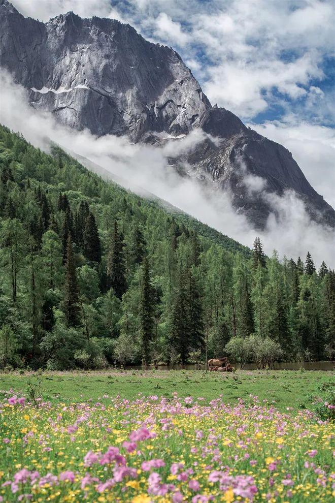 这10条自驾路线条短线条长线适合退休自驾(图2)