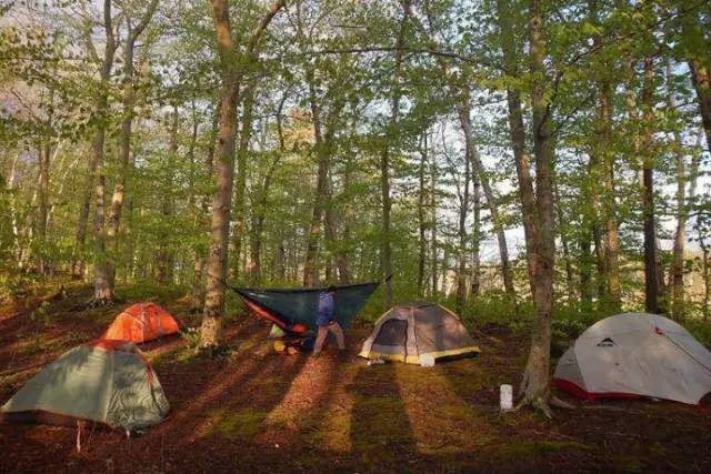 趁着在美国留学这几条超人气公路一定要去走一次(图3)