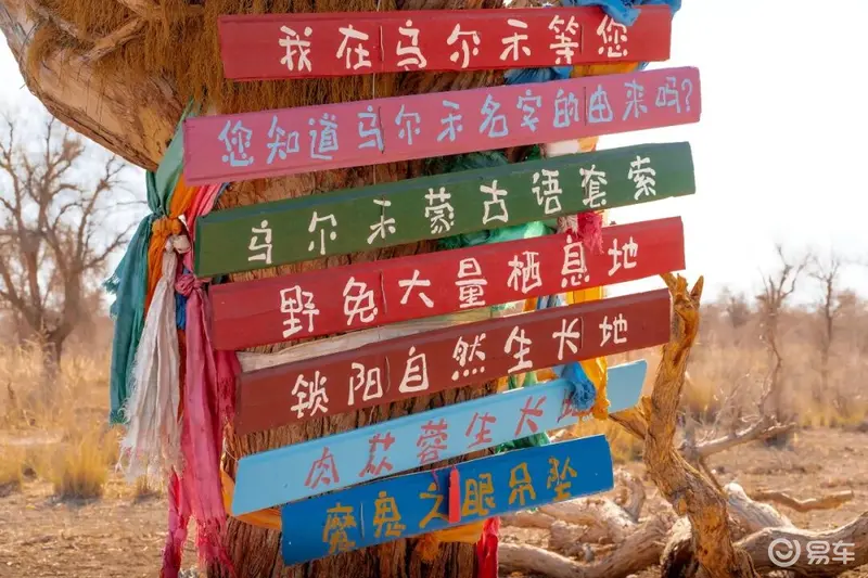 九游app：吉利中国星乌尔禾自驾游攻略来了(图1)